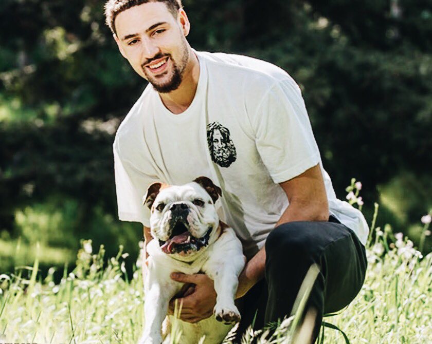 足协杯决赛——中国足坛本年度最后一场焦点战！明晚...（足协杯巅峰对决：明晚上演中国足坛年度收官之战）